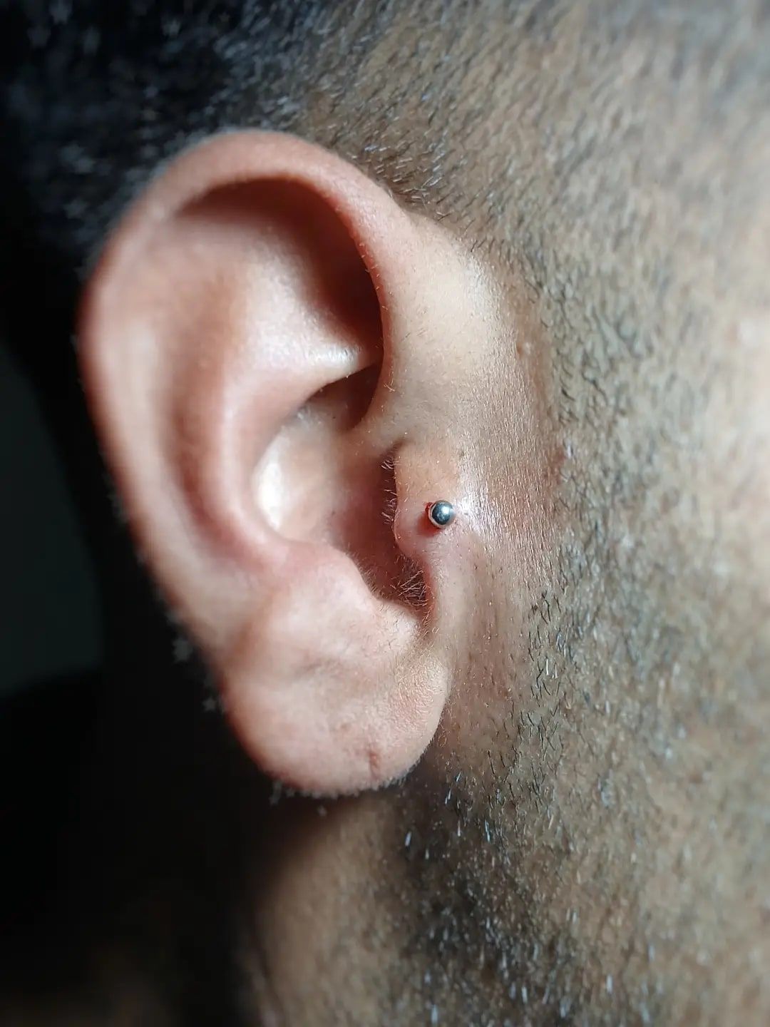 Piercing de tragus con bolita de titanio