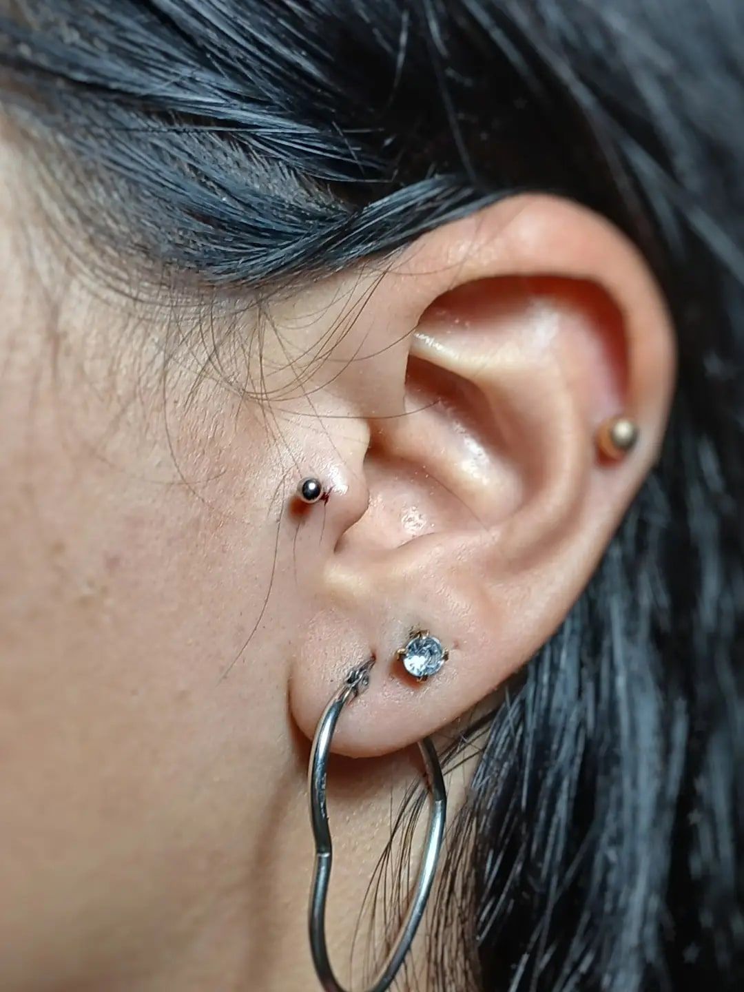 Oreja con piercing en el tragus, lóbulos y hélix